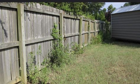 Under Fence Edging, Landscaping Fence Ideas, Fence Edging Ideas For Dogs, Privacy From Neighbors, Fence Edging Ideas, Fence Gardening, Garden Edging Ideas Cheap, Mowing Strip, Landscaping Fence