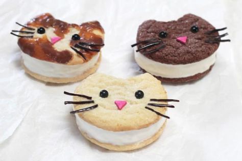 These cute cat-face shaped ice cream sandwiches are easy to make! Pool Party Snacks, Candy Wafers, Cat Themed Parties, Cat Ice Cream, Cream Cat, Cat Cookies, Soft Sugar Cookies, Eating Ice Cream, Fancy Food