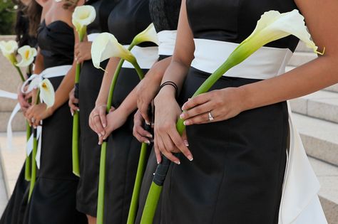 My "bridesmaids" flowers. Calla Lily Single Bouquet, Long Stemmed Calla Lily Bouquet, Single Lily Bridesmaid Bouquet, Single Calla Lily Bridesmaid, Long Stem Bridesmaid Flowers, One Flower Bridesmaid, Single Flower Bouquet Bridesmaid Calla Lily, Long Calla Lily Bouquet, Bouquet Of Calla Lilies