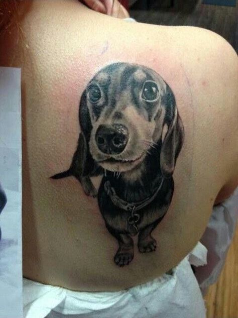 Community Post: The 23 Coolest Dachshund Tattoo Designs In The World  #CoolCanine #GiftsForDogLovers  #DogTattoo #DogTattooIdeas #DogTattooForMen #TattooIdeasForWomen  #DogTattooMemorial #PetTattoos #DogPawTattoos #RipDogTattoos Doxie Tattoo, Daschund Tattoo, Animal Lover Tattoo, Arte Dachshund, Dachshund Tattoo, Tier Tattoo, Dog Memorial Tattoos, Dachshund Funny, Tattoos For Lovers