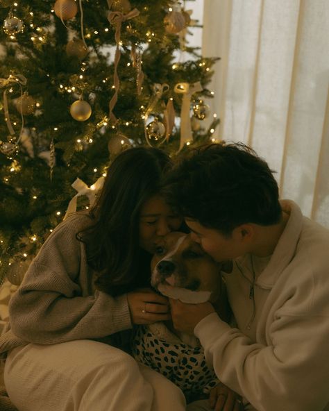 home for the holidays 🎄🐶 📸: @photosbyjannajo 🏷️ cozy holiday at home photoshoot, christmas photos, christmas photoshoot, cozy holiday vibes, homey photoshoot homey couple shoot, holiday family photoshoot, dog photos, christmas tree, warm lights, san diego photographer, california, socal Cozy Indoor Christmas Photos, At Home Christmas Tree Photoshoot, Couple Christmas Pictures With Dog Pajamas, Casual Christmas Couple Photos, Family Christmas Cards With Dogs, Couple Photos Christmas Tree, Couple Home Christmas Photos, Christmas Photos Boyfriend, Couple In Front Of Christmas Tree