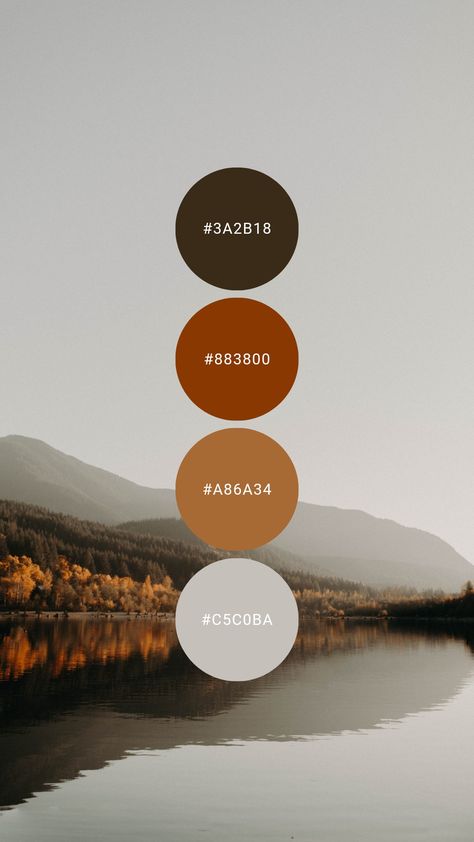 Tawny, terracotta, and toasted rye are tantalizing against cool titanium. Try it in the kitchen, master / primary bedroom, home office, or condo / bachelor apartment. #colorpalette #colourpalette #autumn #fall #brown #orange #burntorange #modern Colors That Complement Burnt Orange, Burnt Orange And Black Color Palette, Orange Bedroom Color Schemes, Burnt Orange Living Room Color Combinations Colour Palettes, Burnt Orange Color Palette Bedrooms, Orange Brown Cream Color Palette, Terracotta Grey Living Room, Burnt Orange Pallet, Burnt Orange Color Palette Living Room