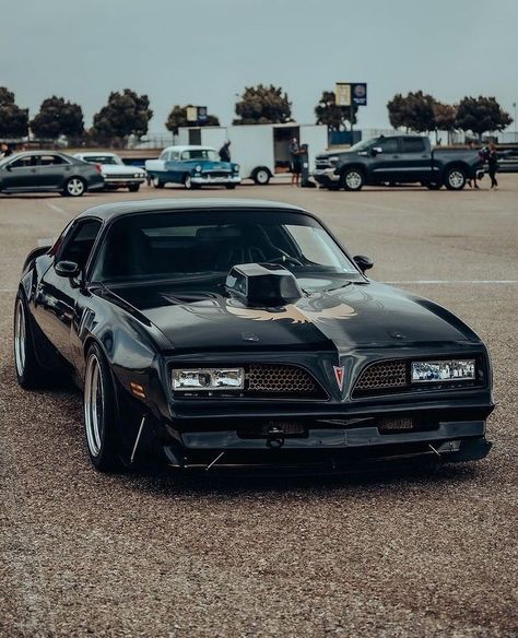 Firebird Aesthetic, Firebird Car, Most Beautiful Cars, Rad Racer, Cars Drive, Odin God, Pontiac Firebird Trans Am, Pontiac Cars, Vintage Muscle Cars