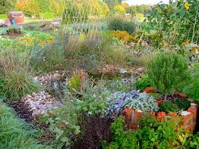 Beautiful Allotments, Permaculture Allotment, Buying Land, Food Growing, Food Forest Garden, Rich Food, Dig Gardens, Allotment Gardening, Garden Insects