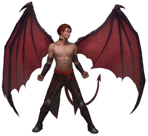 Winged Tiefling Male, Incubus Demon Male, Winged Character, Manual Illustration, Tiefling Art, Incubus Demon, Dragon Woman, Monster Manual, Winged People