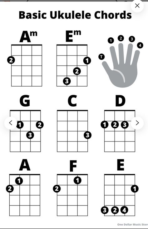 Basic Ukulele Songs, Basic Ukulele Chords, Ukulele For Beginners Learning, Ukulele Chords Songs Easy Sheet Music, How To Play Ukulele For Beginners, Ukulele Chords Songs Easy, Ukulele Chords Easy, Ukelele Beginner, Easy Ukulele Songs For Beginners