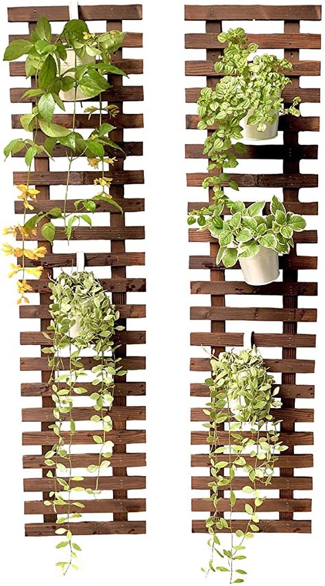 Amazon.com: ShopLaLa Wall Plant Holder - Hanging planters for Indoor and Outdoor: Kitchen & Dining Wall Planters Outdoor Hanging Plants, Wall Mounted Flower Pots Outdoor, Indoor Wall Trellis Ideas, Outdoor Shelves For Plants, Wall Flower Holder, Plant Shelving, Wall Mounted Plant Holder, Industrial Planter, Mums Garden