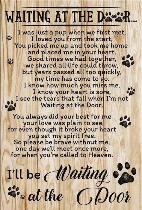 Christian Facts, Losing A Pet Quotes, Slow Roasted Italian, Paw Wallpaper, Dog Sayings, Pet Quotes, Dog Poems, Pawprint Tattoo, Pitbull Art