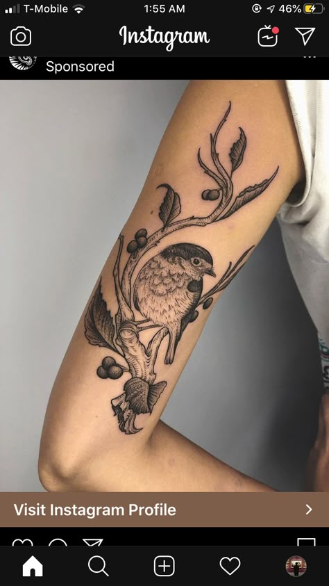 Bird And Branch Tattoo, Bird Tattoo Back Of Arm, Bird On Branch Tattoo, Bird Tattoo Arm, Bird Branch Tattoo, Chaotic Tattoo, Chickadee Tattoo, Robin Bird Tattoos, Bird Tattoos Arm