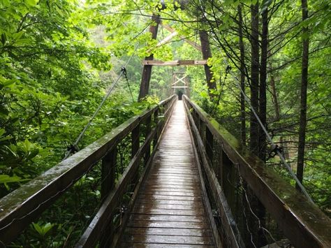 Toccoa River Swinging Bridge Chattahoochee National Forest, Swinging Bridge, Gravel Road, National Forest, Railroad Tracks, Mississippi, Planets, Georgia, Road Trip