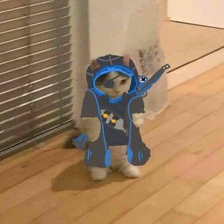 Standing Cat Pfp Overwatch, Overwatch Reaction Pics, Overwatch Profile Pictures, Overwatch Cats, Overwatch Icons, Cat Standing, Overwatch Drawings, Overwatch Funny, Overwatch Memes