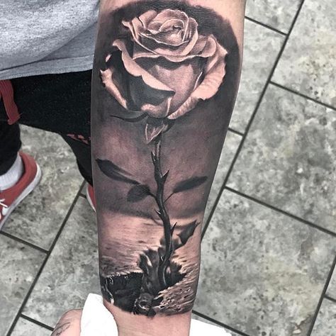 Different take on this #RoseTattoo done by @allenbracknell Rose From The Concrete Tattoo, Rose Coming Out Of Concrete Tattoo, Rose Through Concrete Tattoo, 3birds Tattoo, Rose Out Of Concrete Tattoo, Rose Concrete Tattoo, Rose In Concrete Tattoo, Rose Growing From Concrete Tattoo, Rose From Concrete Tattoo