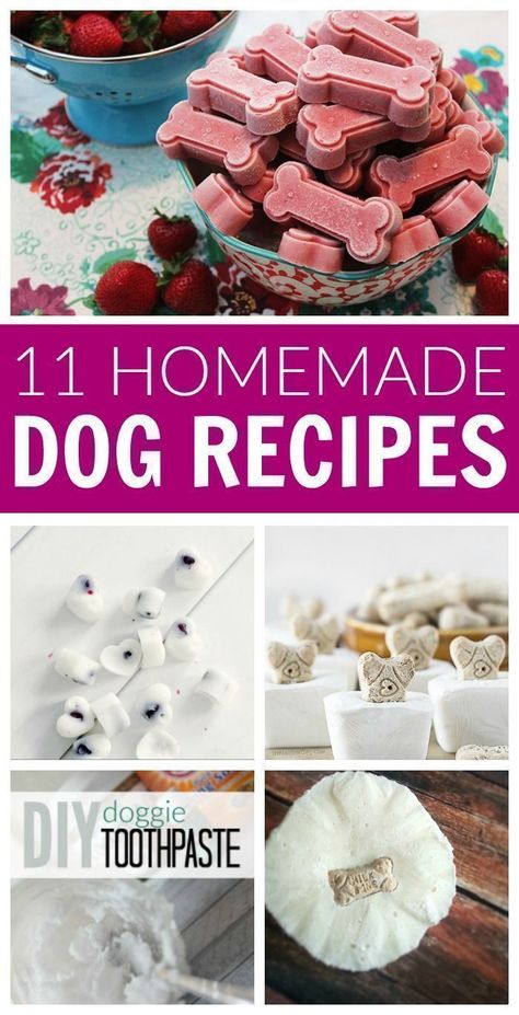 Homemade Dog Cookies, Dog Biscuit Recipes, Easy Dog Treats, Healthy Dog Treats Homemade, Dog Biscuit, Dog Treats Homemade Recipes, Dog Treats Homemade, Doggie Treats, Diy Dog Treats