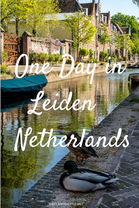 Traveling Goals, Holland Travel, Leiden Netherlands, Amsterdam Vacation, Travel Netherlands, Time Budget, Travel Holland, Dates Ideas, Day Trips From Amsterdam