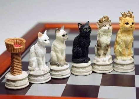 Music Dice, Themed Chess Sets, How To Play Chess, Clay Art Projects, Just A Game, Chess Pieces, Chess Set, Cats Dogs, Chess Board