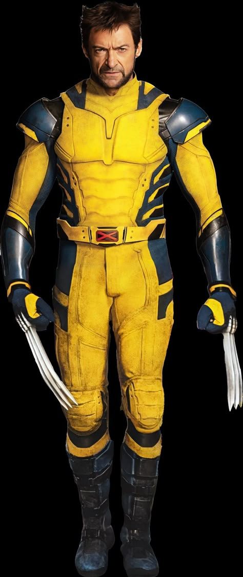 Wolverine Hugh Jackman Art, Hugh Jackman Art, Wolverine Suit, Apex Logo, Marvel Hd, Wolverine Costume, Wolverine Cosplay, Wolverine Artwork, Wolverine Deadpool