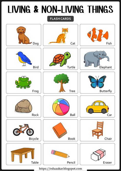 Living And Non Living Things Activities For Preschool, Non Living Things Images, Non Living Things Drawing, Living Things Activities Preschool, Living And No Living Things Activities, Living Non Living Activities, Living And Nonliving Activities, Living And Non Living Things Worksheets For Kindergarten, Living Non Living Worksheet