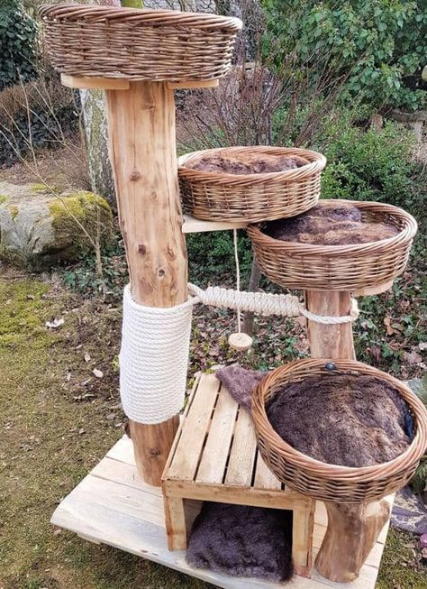 15 Best Outdoor Cat Tree Ideas and Plans - Its Overflowing Outdoor Cat Tree, Cat Tree Ideas, Katt Diy, Cat Playground Outdoor, Katt Grejer, Chat Diy, Cat Patio, Cat Tree House, Diy Cat Tree