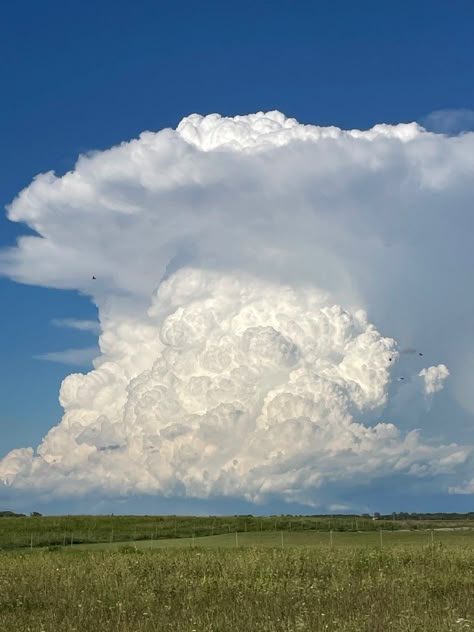 Aesthetic To Draw, References Landscape, Nimbostratus Clouds, Real Clouds, Cumulonimbus Clouds, Space Clouds, Cloud Watching, Tornado Pictures, Cumulonimbus Cloud