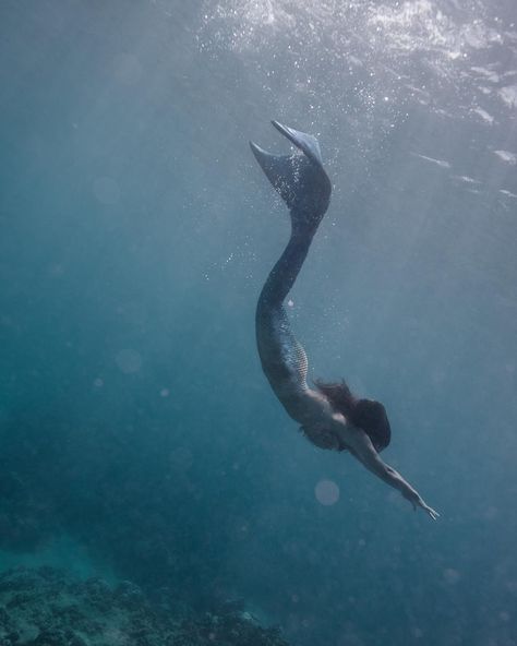 Eu acredito em sereias...e vocês? #mermaid #sereia Mermaid Swimming Up, Siren Mermaid, Mako Mermaids, Mermaid Swimming, Mermaid Pictures, Mermaid Tattoo, Mermaid Aesthetic, Mermaid Dreams, Mermaids And Mermen