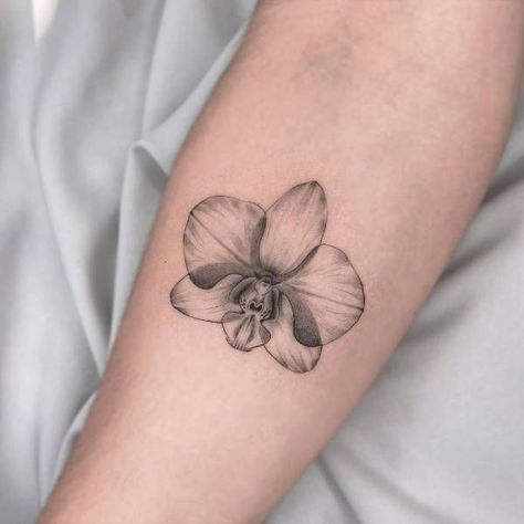 Line Orchid Tattoo, Fine Line Orchid Tattoo, Orchid Tattoos, Orchid Flower Tattoos, Tattoo Line Art, Tattoo Line, Orchid Tattoo, Forearm Tattoo Women, Human Society