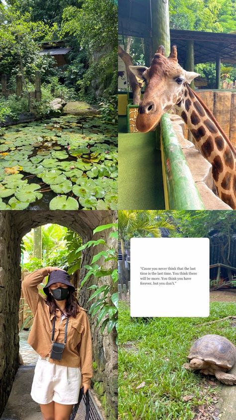 Zoo Instagram Story Ideas, Aesthetic Zoo Pictures, Zoo Pose Ideas, Zoo Asthetic Picture, Zoo Instagram Pictures, Zoo Instagram Story, Zoo Photoshoot Ideas, Zoo Pictures Ideas, Zoo Photo Ideas