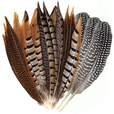 PRICES MAY VARY. Specification：A pack of 12pcs mixed natural feathers in 4 unique styles, 3pcs per style. Material： 100% natural pheasant feathers are not dyed，each feather is carefully selected by professionals,then sterilized by ultraviolet light.Safe soft and odor-free Size：Each feather is about 15-20cm long，Each kinds of feather has a beautiful pattern,you can choose different kinds and length of feather to meet your various needs..All of our feathers are natural so the size and shape may be Dream Catcher Crafts, Masquerade Decorations, Home Party Decorations, Craft Home, Pheasant Feathers, Ultraviolet Light, Feather Crafts, Tail Feathers, Craft Wedding