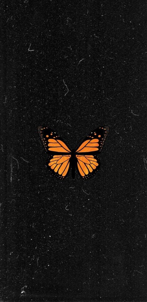 Monarch Butterfly Wallpaper Aesthetic, Fall Butterfly Wallpaper, Orange Butterfly Wallpaper, Monarch Butterfly Wallpaper, Monarch Butterfly Aesthetic, Wallpaper Mariposas, Redmi Wallpaper, Wonderful Wallpapers, Nature Iphone Wallpaper