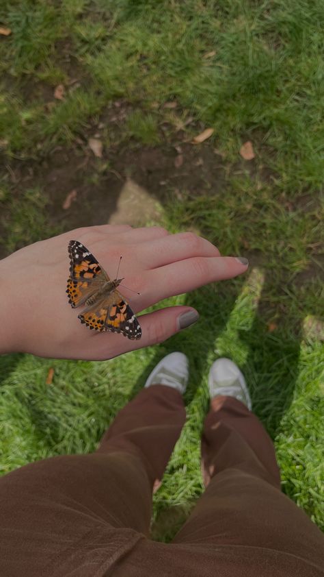 DID YOU FEED IT BUTTER? #butterfly #bug #nature #floral #flowers #butterflies #flying #monarch #beauty #aesthetic #summer #spring #animals #biology #outside Butterfly Flying Aesthetic, Vision Board Butterfly, First Love Late Spring Aesthetic, Bug Lover Aesthetic, Bug Girl Aesthetic, Animal Biology Aesthetic, Late Spring Aesthetic, Butterfly Garden Aesthetic, Larissa Core