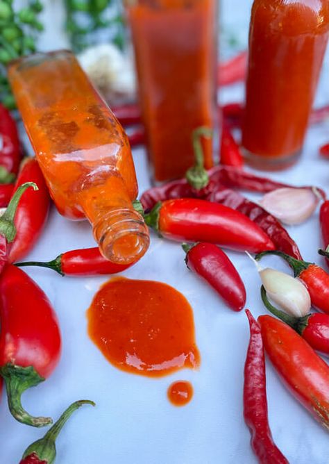 How to Make Your Own Hot Sauce - Non-Fermented Canning Hot Pepper Sauce Recipe, Roasted Hot Sauce, Hot Pepper Sauce For Canning, Canning Hot Pepper Sauce, How To Make Homemade Hot Sauce, Jalapeno Hot Sauce Recipe Homemade, Red Jalapeno Hot Sauce, Roasted Pepper Hot Sauce, Homemade Hot Sauce Canning