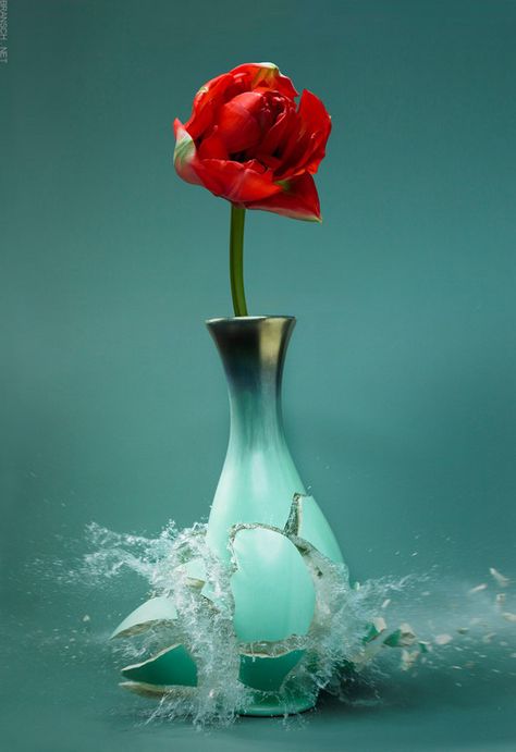 Martin Klimas on Behance Martin Klimas, Broken Vase, High Speed Photography, Red Cottage, Shades Of Teal, Red And Teal, Red Turquoise, Aqua Turquoise, Arte Floral