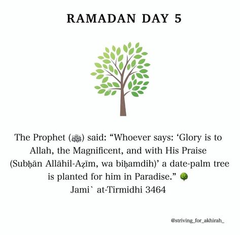 Ramzan Painting, Ramadan Day 5 Quotes, Ramadan Day 5, Ramadan 1, Best Ramadan Quotes, Ramadhan Quotes, Sunnah Prayers, Ramadan Dua, Ramadan Tips