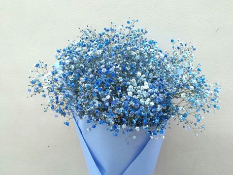 Blue Baby Breath Bouquet, Babys Breath Aesthetic, Blue Babies Breath, Blue Baby Breath, Lovely Aesthetic, Engagement Decoration, Gypsophila Bouquet, Gypsophila Flower, Baby Breath