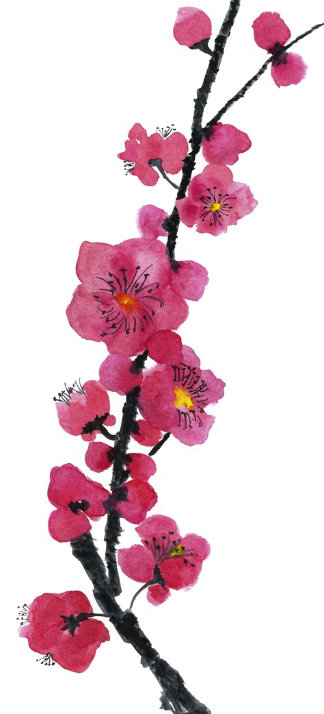 A branch of a blossoming tree. Pink and red stylized flowers of plum mei, wild apricots and sakura . Watercolor and ink illustration in style sumi-e, u-sin. Oriental traditional painting. Sakura Branch Painting, Plum Blossom Painting, Sakura Watercolor, Watercolor And Ink Illustration, Sakura Painting, Loquat Tree, Sumi E Painting, Japanese Watercolor, Sakura Tree