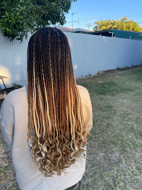 Normal box braids Normal Box Braids, Dark Brown To Light Brown Ombre, Brown Box Braids, Light Brown Ombre, Ombre Box Braids, 4b Hair, Ombre Braid, Hairstyle Inspo, Brown Shades