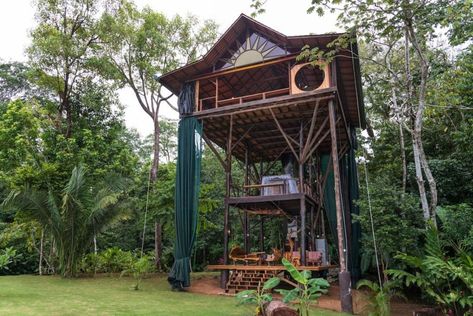 25+ Most Unique Airbnb Rentals Under $400 in 2019 Adult Tree House, Treehouse Rentals, Jungle Canopy, Houses In Costa Rica, Luxury Tree Houses, Building A Treehouse, Swing Bed, Going Off The Grid, Cool Tree Houses