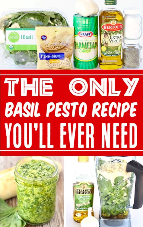 Pesto Recipe Homemade Basil Pesto Recipe, Diy Pesto Sauce, Easy Basil Pesto Recipe, Diy Pesto, Easy Pesto Sauce, Easy Basil Pesto, Homemade Basil Pesto, Basil Pesto Recipe, Homemade Chocolate Sauce