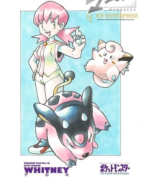 Pokemon Manga Panels, Official Pokemon Art, Old Pokemon Art Style, Ken Sugimori Art, Old Pokemon Art, Sugimori Style, Ken Sugimori Pokemon, Pokemon Ken Sugimori Art, Pokémon Gold And Silver