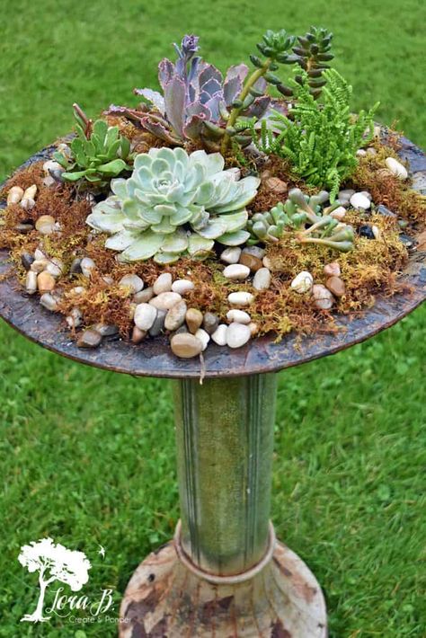 Looking for unusual garden planter ideas? You'll love these 13  unique container gardening ideas if you love flea market style. Vintage junk finds add repurposed garden decor style to your yard when planted with flowers and succulents. Anything old can be upcycled into creative outdoor garden planters with these ideas. Unusual Garden Planters, Bird Bath Planter, Repurposed Planter, Shallow Planters, Repurposed Junk, Plant Succulents, Bird Baths, Vintage Repurposed, Ways To Recycle