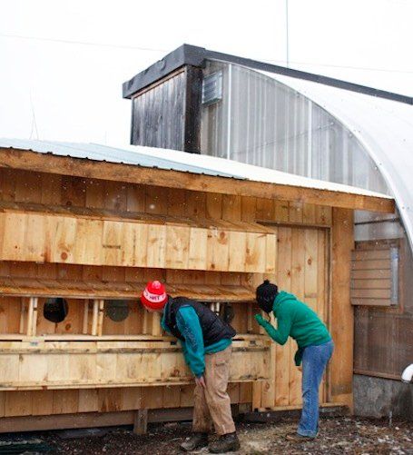 To Heat a Greenhouse, Add Some Chickens Heating A Greenhouse, Building A Chicken Coop, Aquaponics System, Mini Farm, Diy Greenhouse, Garden Greenhouse, Cold Frame, Greenhouse Gardening, Chicken House