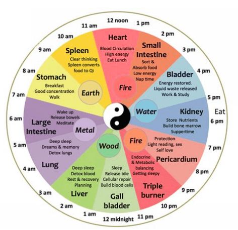 Traditional Chinese Organ Body Clock: Lana Moshkovich, DACM, L.AC: Chinese Medicine Chinese Body Clock, Chinese Clock, Tcm Traditional Chinese Medicine, Body Clock, Organ System, Clear Thinking, Body Energy, Traditional Chinese Medicine, Health Info