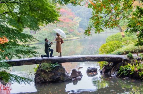 Unique Engagement Pictures, Best Marriage Proposals, Tokyo Wedding, Best Wedding Proposals, Marriage Material, Japanese Wedding, Perfect Proposal, Photographs Ideas, Wedding Proposals