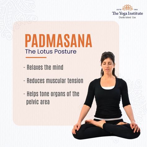 Padmasana Pose Yoga, Lotus Asana, Yoga Workshop, Yoga Illustration, Yoga For All, Cross Legged, Lotus Pose, Online Yoga Classes, Cotton Kurti Designs