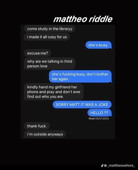 Mattheo Riddle Spicy Texts, Mattheo Riddle Text Messages, Mattheo Riddle Texting, Slytherin Men, Draco Malfoy Funny, Slytherin Funny, Hogwarts Life, Harry Potter Riddles, Matteo Riddle