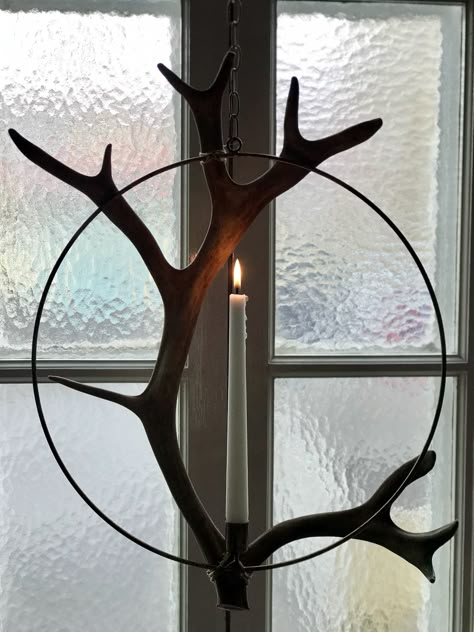 Deer Antlers Decor, Deer Horn Ideas, Antler Ideas, Antlers Decor, Antler Crafts, Skull Crafts, Deer Decor, Minimal Home, Diy House Projects