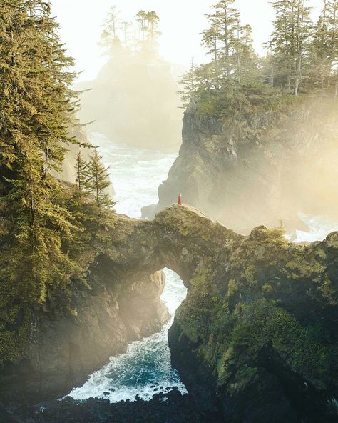 Oregon Aesthetic, Water Island, Oregon Photography, Forest Scenery, Adventure Aesthetic, Mountain Travel, Oregon Travel, Beautiful Nature Scenes, Nature Aesthetic