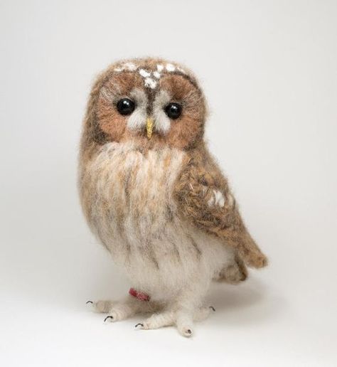 Felted Nest, Baby Sparrow, Needle Felted Owl, Felted Crochet, Tawny Owl, Felt Owls, Felt Owl, Crochet Birds, Needle Felting Projects