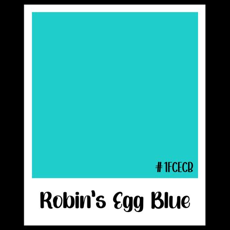 Robin’s Egg Blue, Feng Shui Colors, Colors 2025, Robin Egg Blue, Robin's Egg Blue, Romantic Colors, Robins Egg, Rainbow High, Color Crush