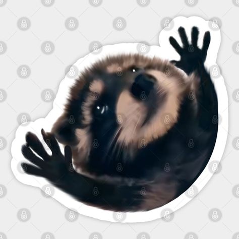 Raccoon Pedro Pedro funny viral meme - Meme Sticker - Sticker | TeePublic Raccoon Sticker, Raccoon Drawing, Meme Meme, Meme Stickers, Kids Clipart, Cartoon Illustration, Cartoon Drawings, Wizard, Cute Cartoon