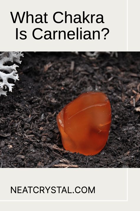 Tips on choosing carnelian jewelry to best energize and heal the sacral chakra. Wearing Crystals, Giving Hands, The Sacral Chakra, Carnelian Jewelry, Lower Abdomen, Free Facebook, Emotional Body, Medical Help, Deep Red Color